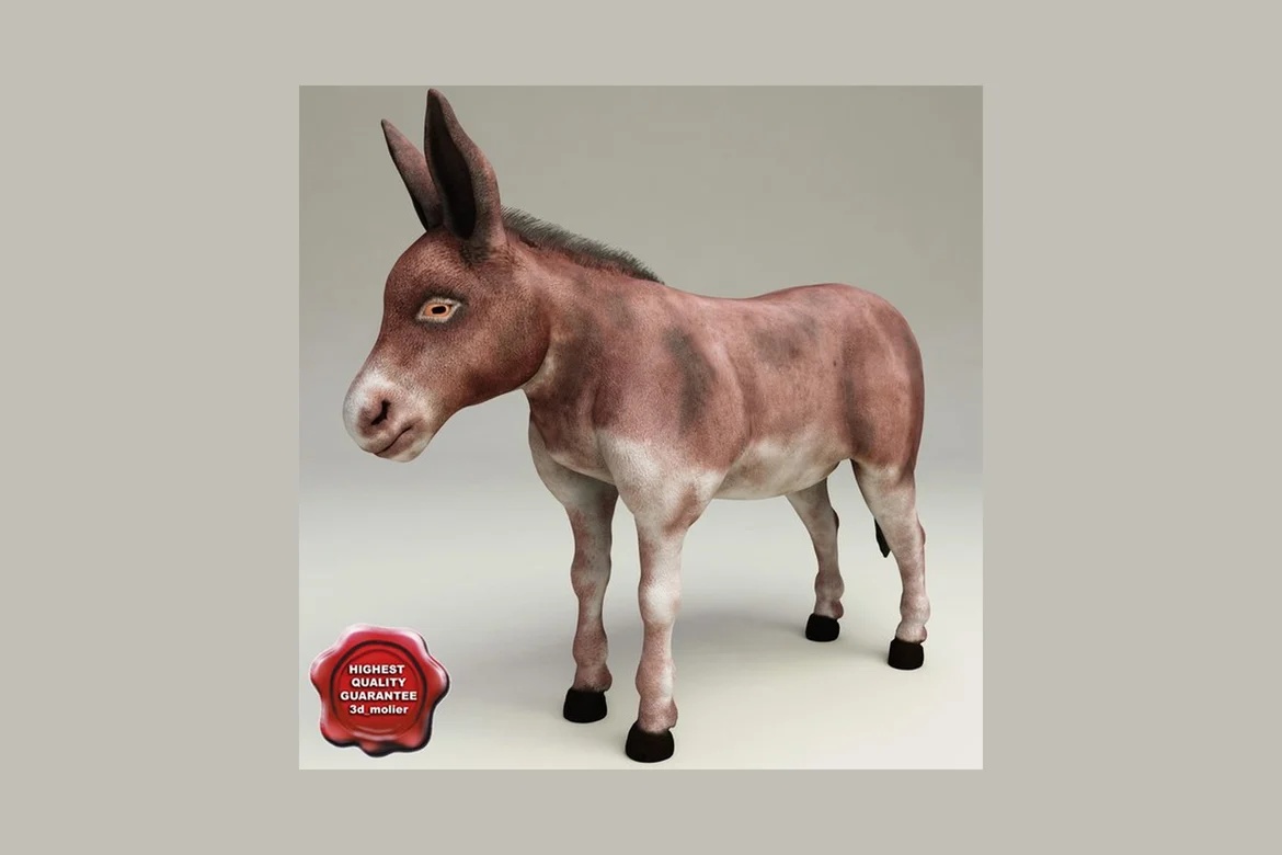 Donkey with black leg attachments_0002