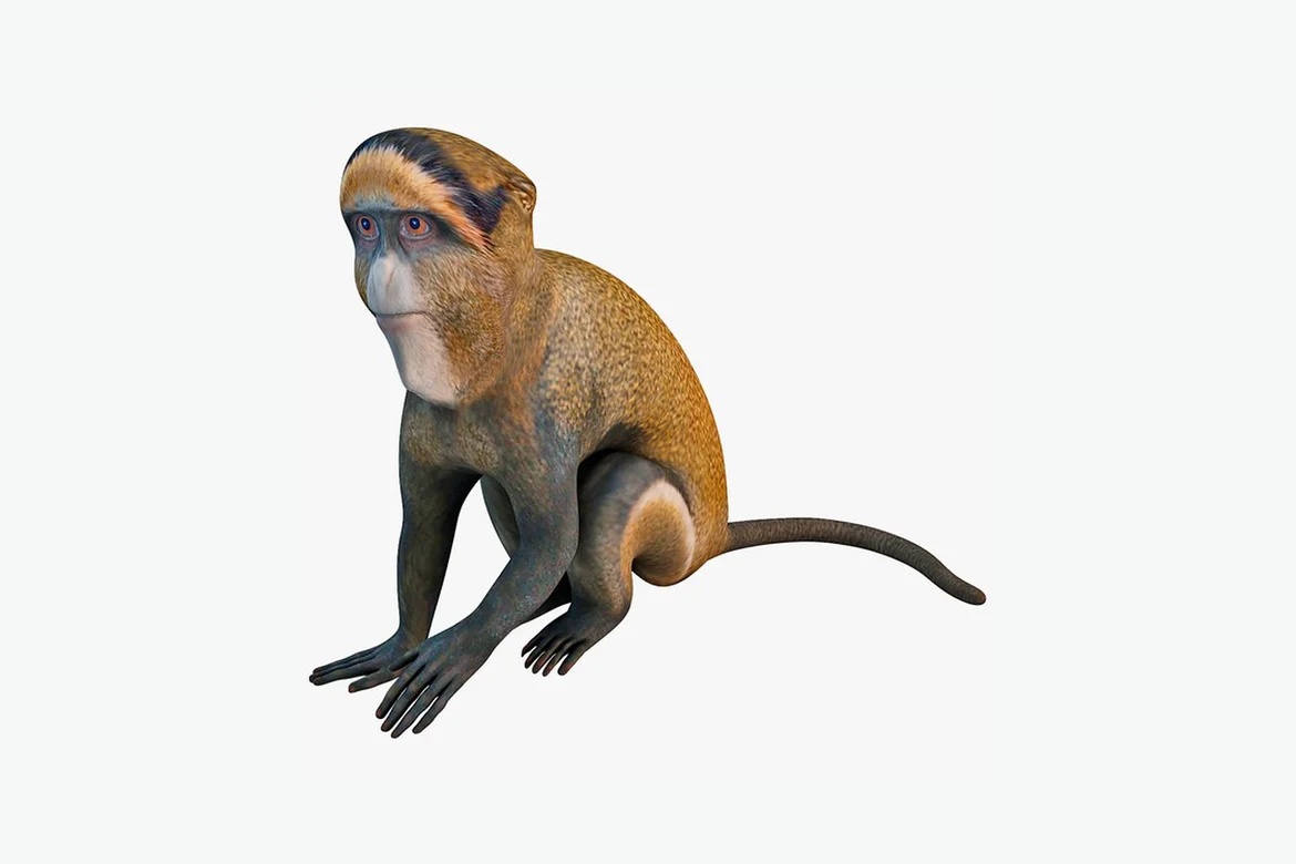 Scaled primate in relaxed posture_0007