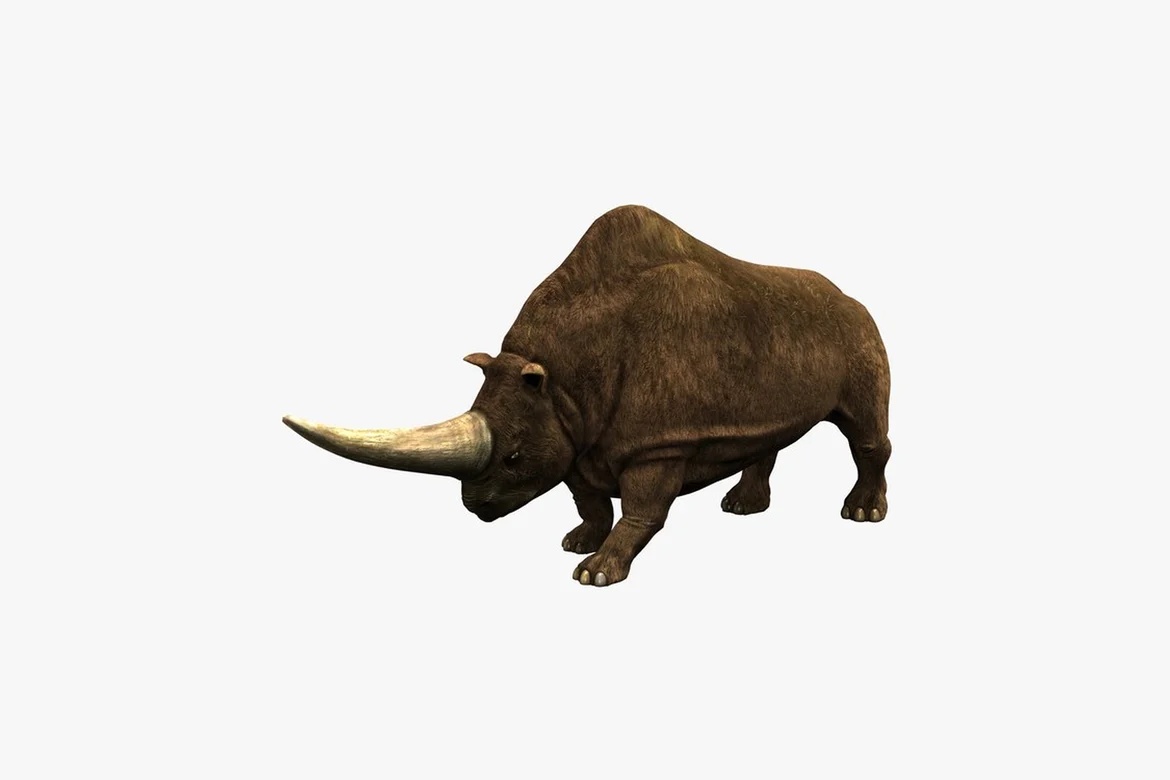 Rhinoceros in profile view_0022