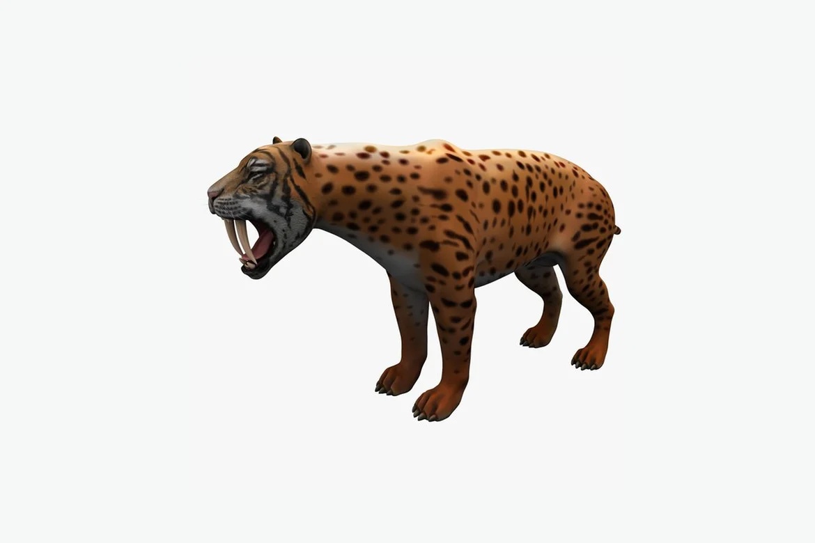 Jaguar with open mouth_0034