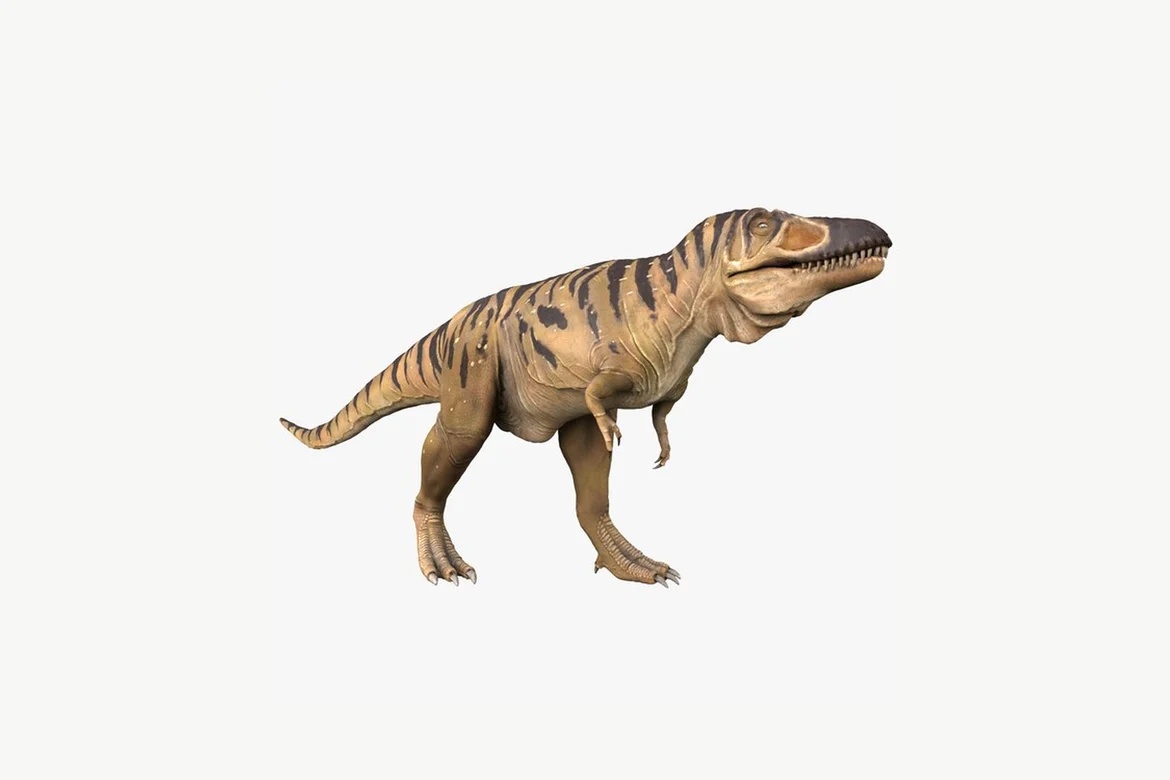 Lateral view of tyrannosaurus rex_0037