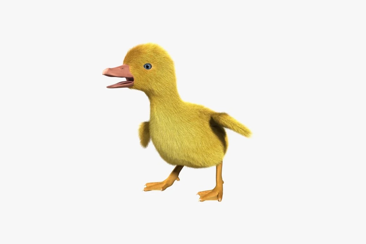 Duckling with pink beak and blue eyes in walking posture_0046