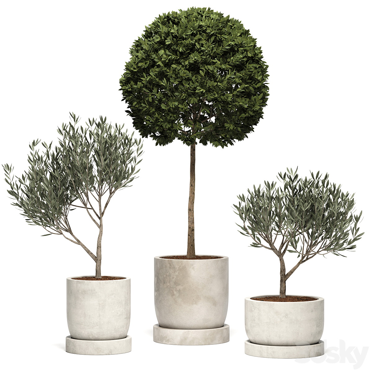 3D仿真植物盆栽模型_0029插图 3D仿真植物盆栽模型