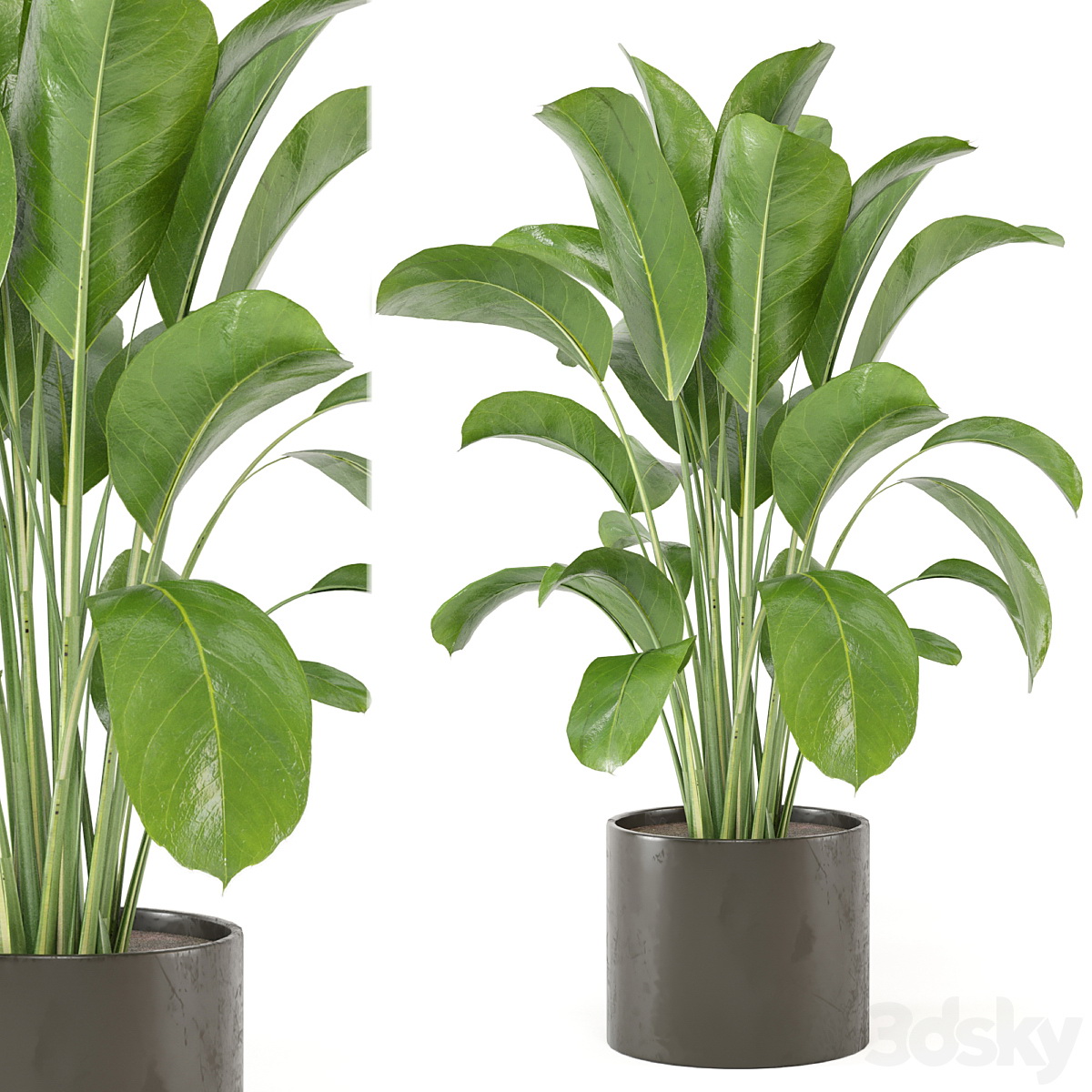 3D仿真绿植盆栽